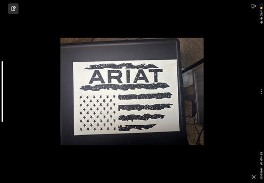 Ariat