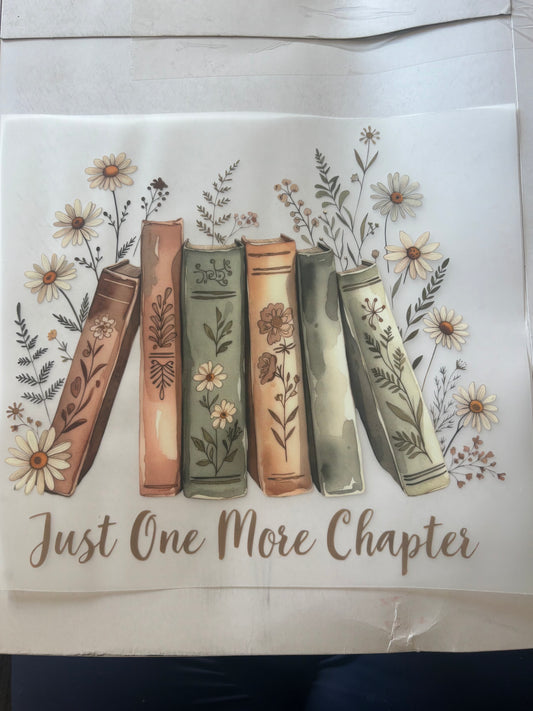 1 more Chapter